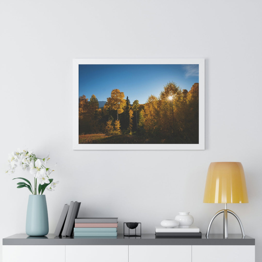 Sun Through the Aspens - Framed Print - Visiting This World