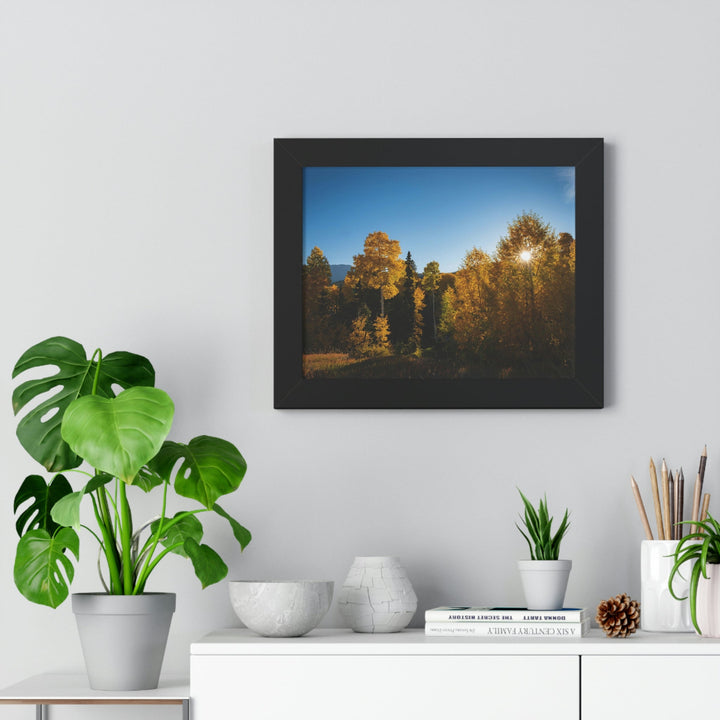 Sun Through the Aspens - Framed Print - Visiting This World