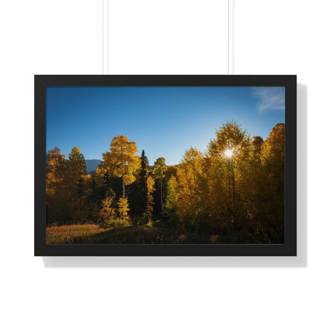 Sun Through the Aspens - Framed Print - Visiting This World