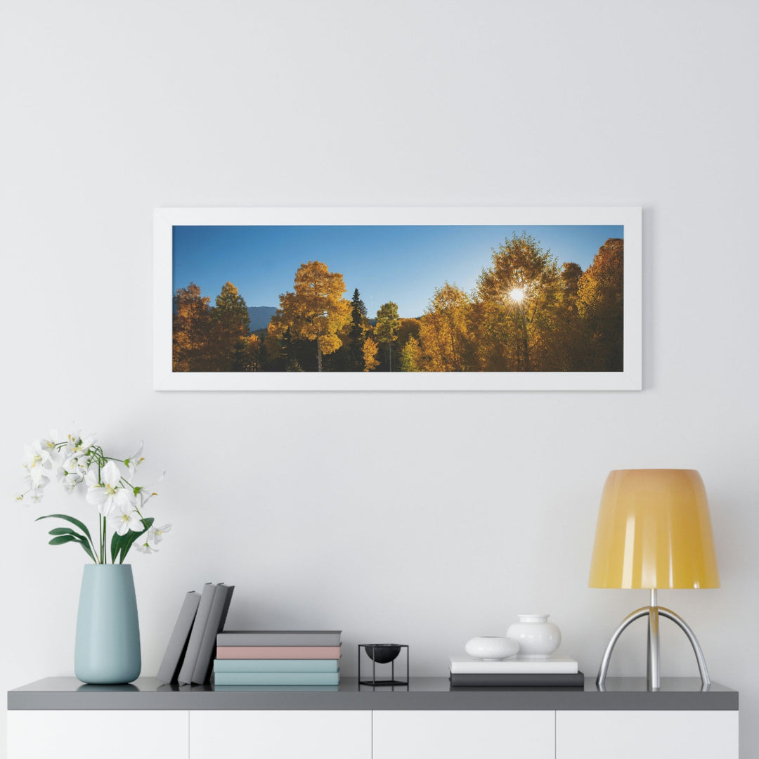 Sun Through the Aspens - Framed Print - Visiting This World