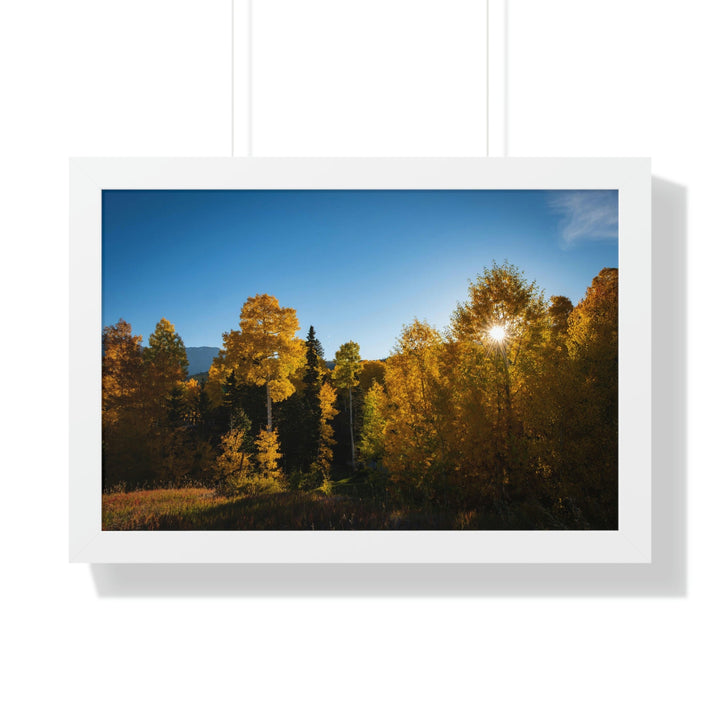 Sun Through the Aspens - Framed Print - Visiting This World