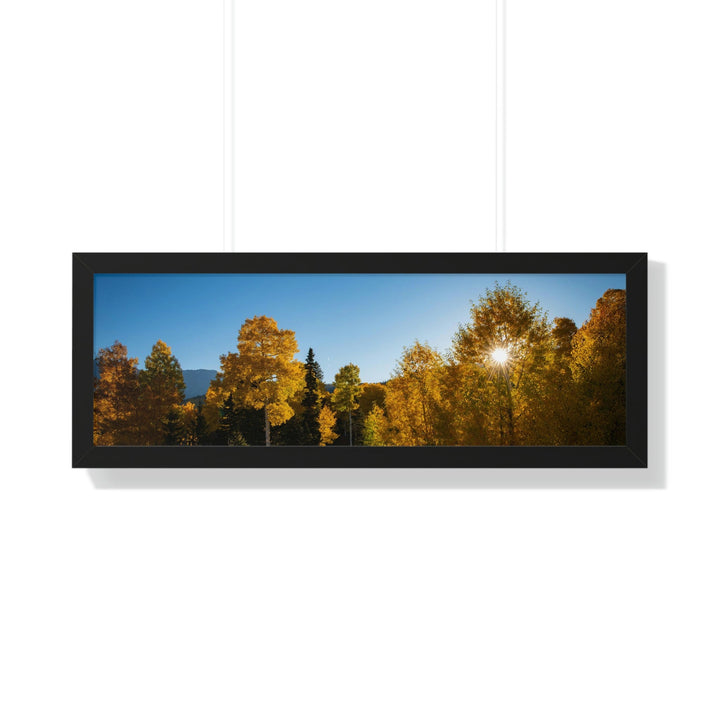 Sun Through the Aspens - Framed Print - Visiting This World