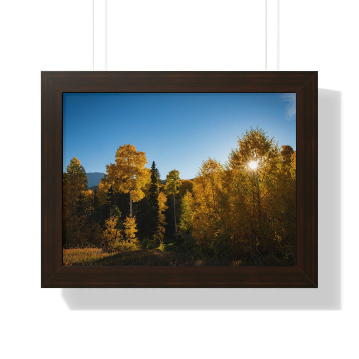 Sun Through the Aspens - Framed Print - Visiting This World