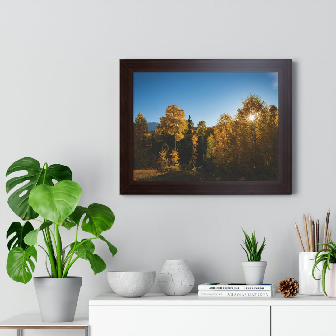 Sun Through the Aspens - Framed Print - Visiting This World