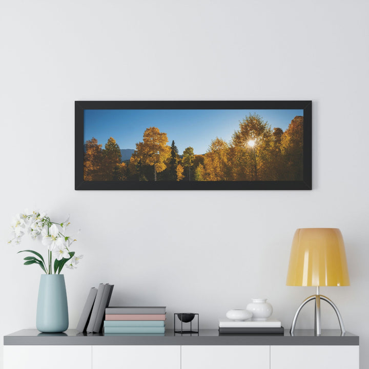 Sun Through the Aspens - Framed Print - Visiting This World