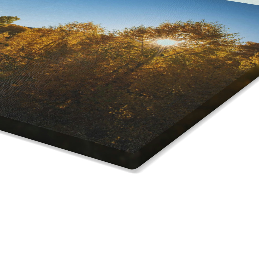 Sun Through the Aspens - Glass Cutting Board - Visiting This World