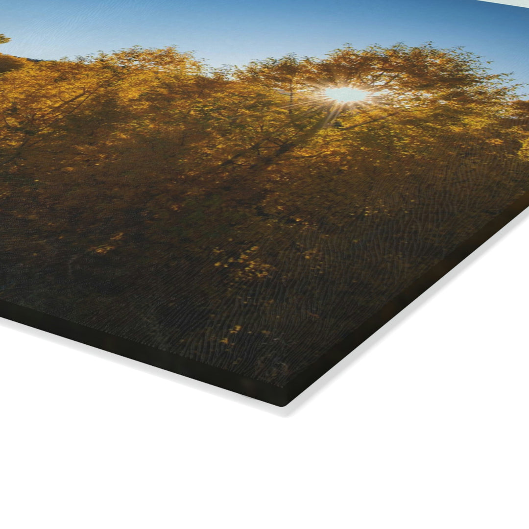 Sun Through the Aspens - Glass Cutting Board - Visiting This World