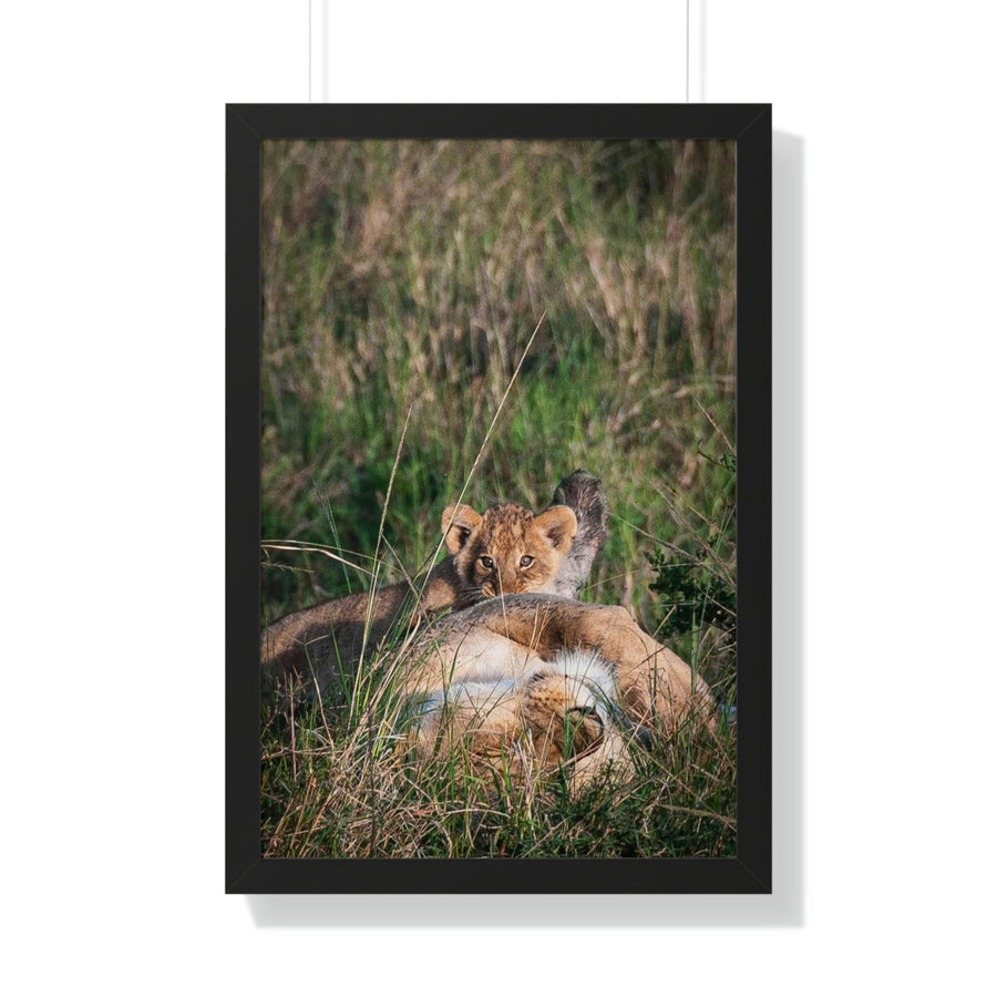 The Future King - Framed Print - Visiting This World