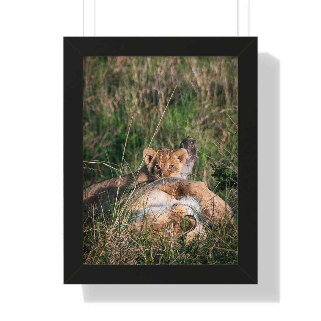 The Future King - Framed Print - Visiting This World