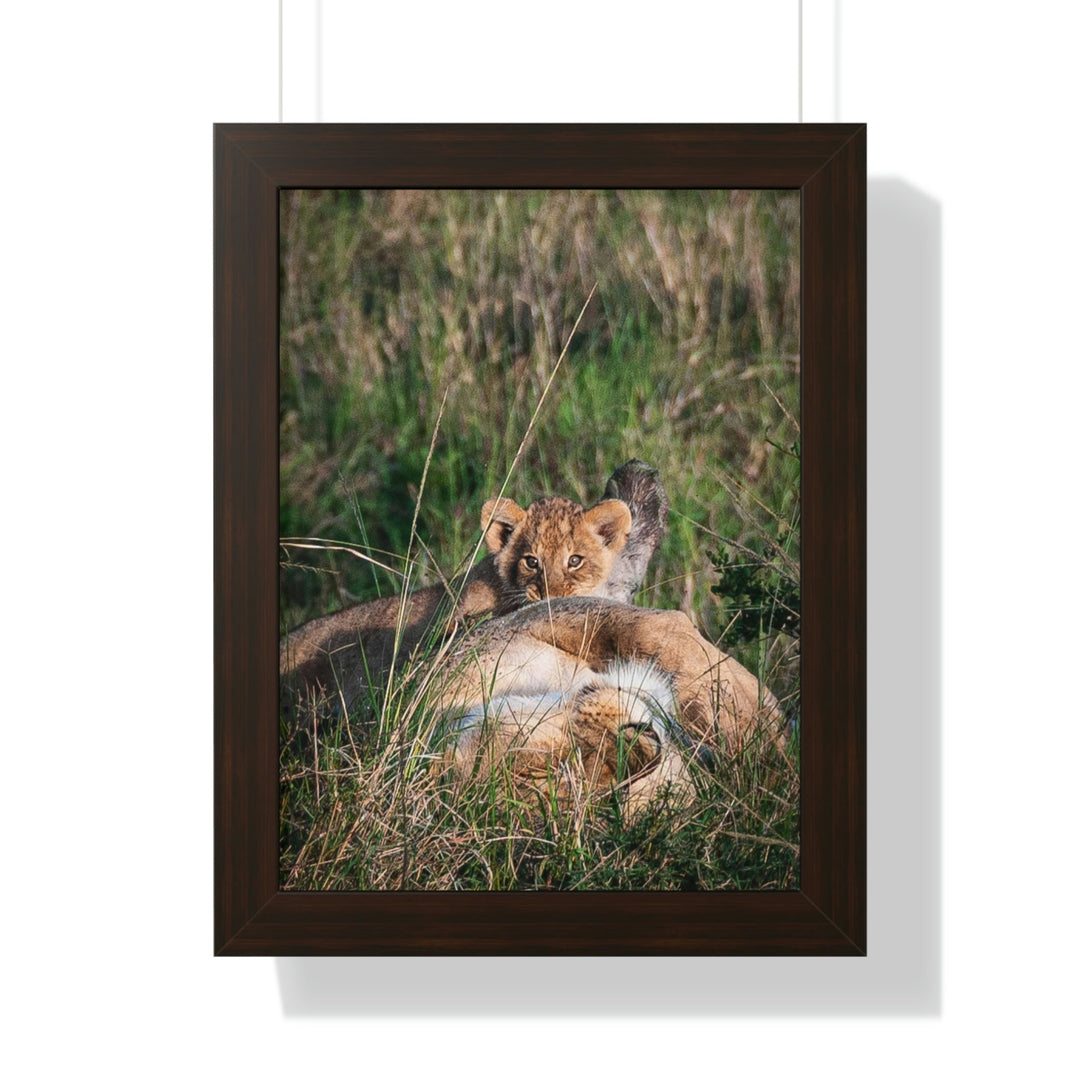 The Future King - Framed Print - Visiting This World