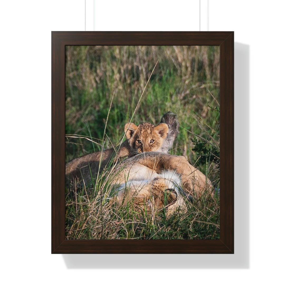 The Future King - Framed Print - Visiting This World