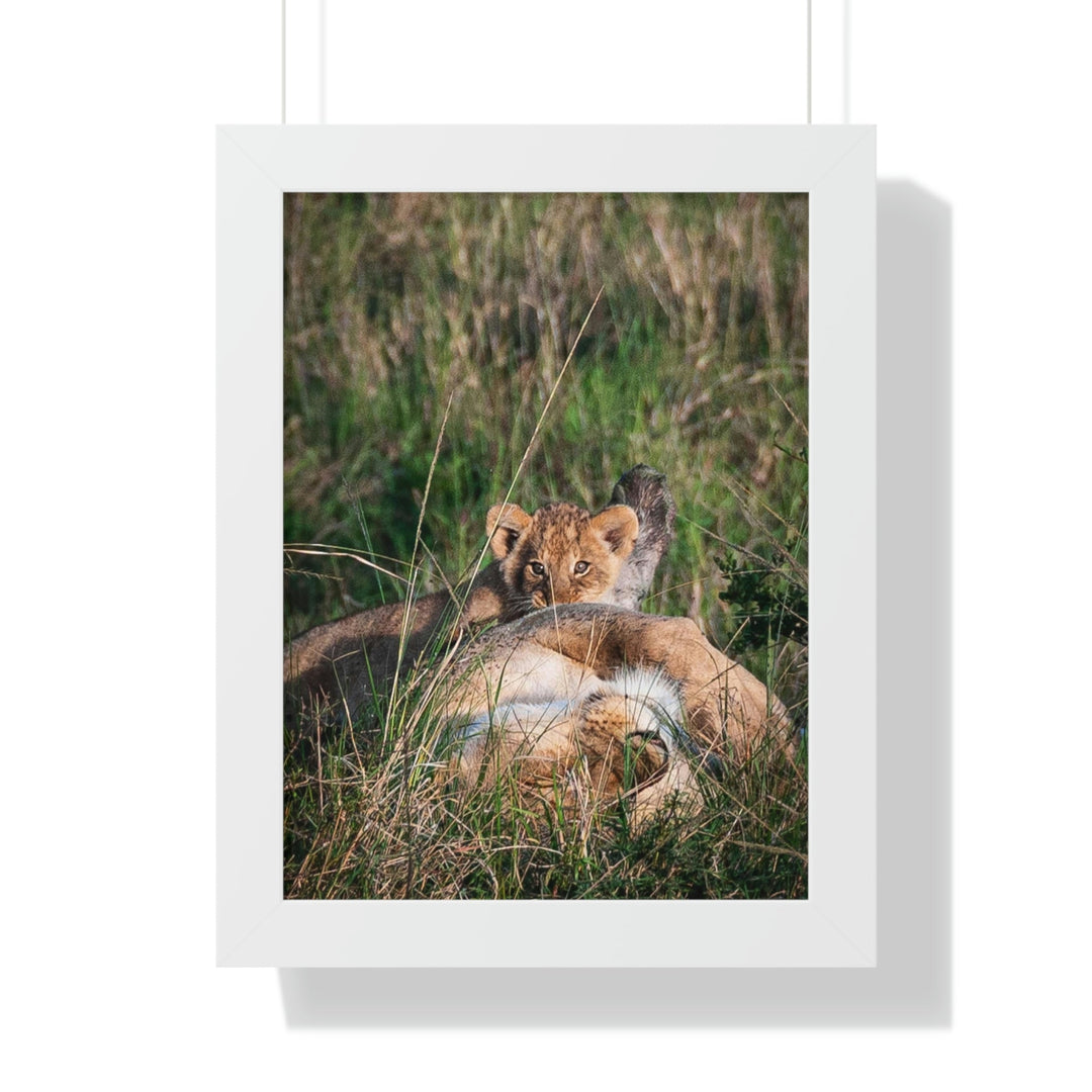 The Future King - Framed Print - Visiting This World