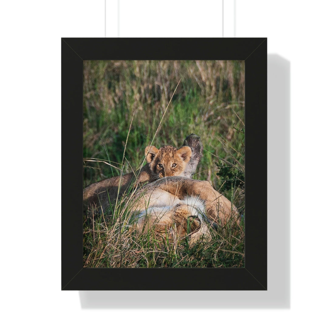 The Future King - Framed Print - Visiting This World