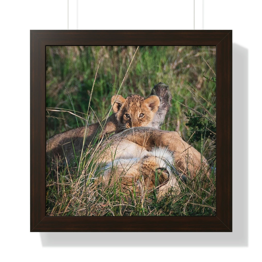 The Future King - Framed Print - Visiting This World