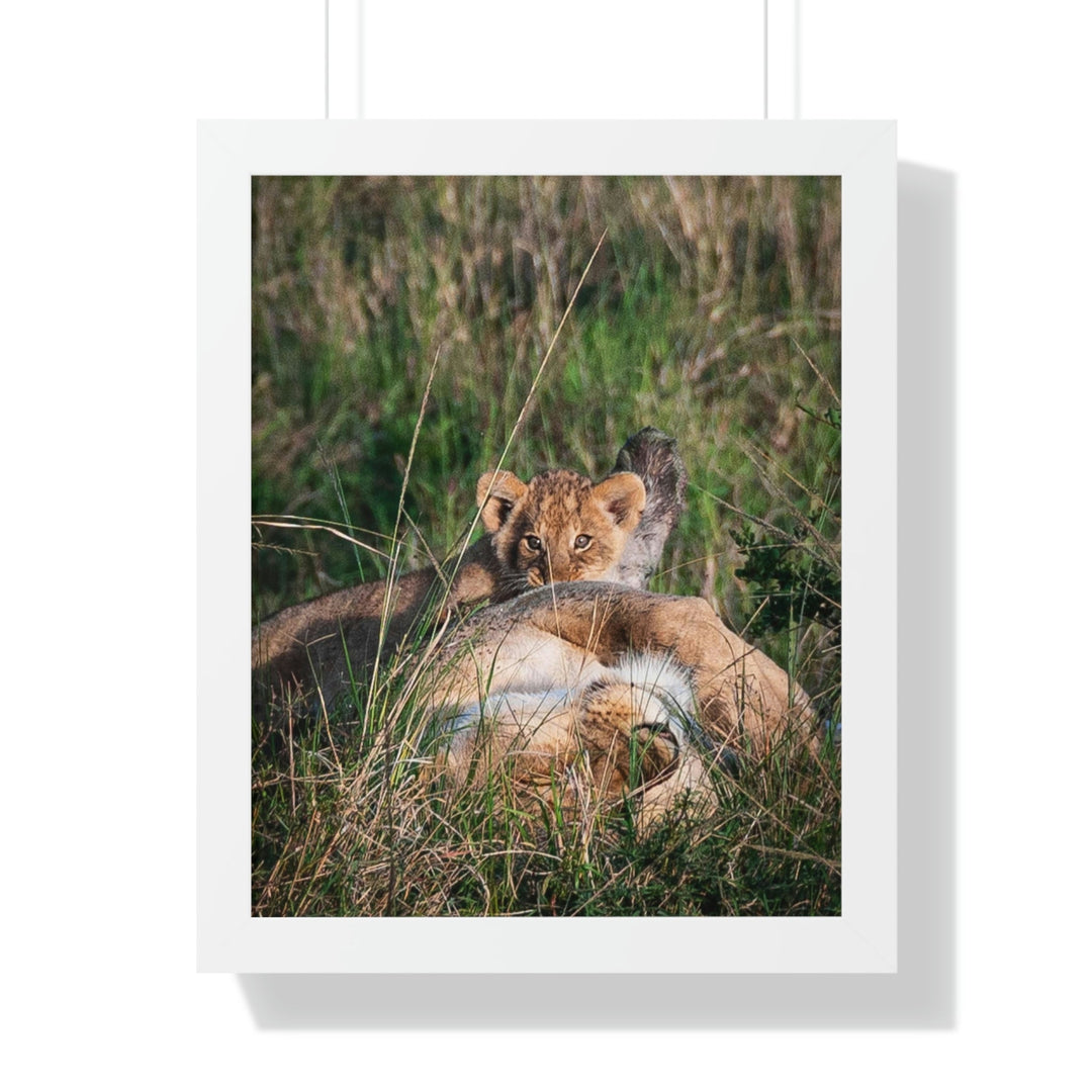 The Future King - Framed Print - Visiting This World