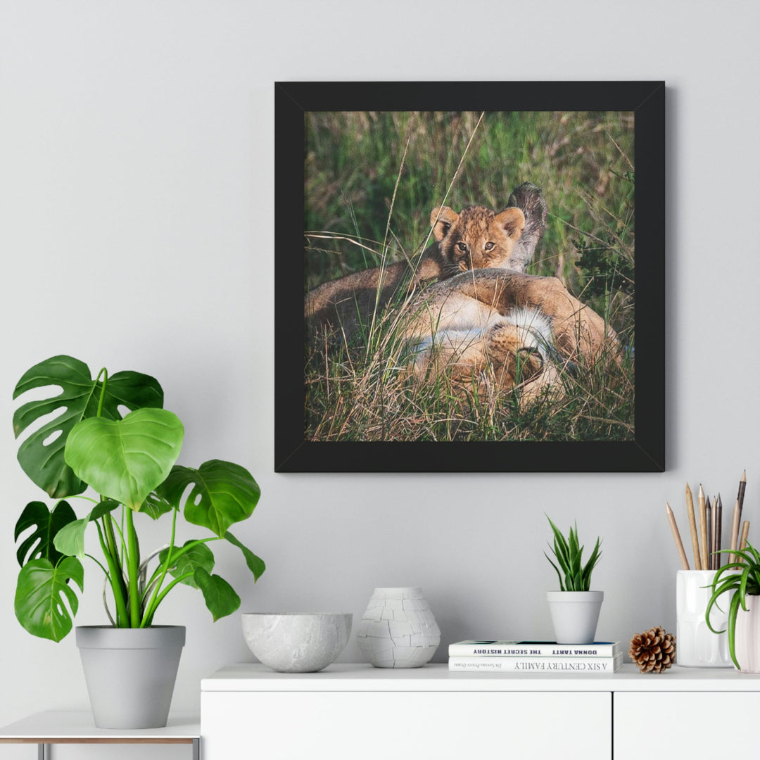 The Future King - Framed Print - Visiting This World