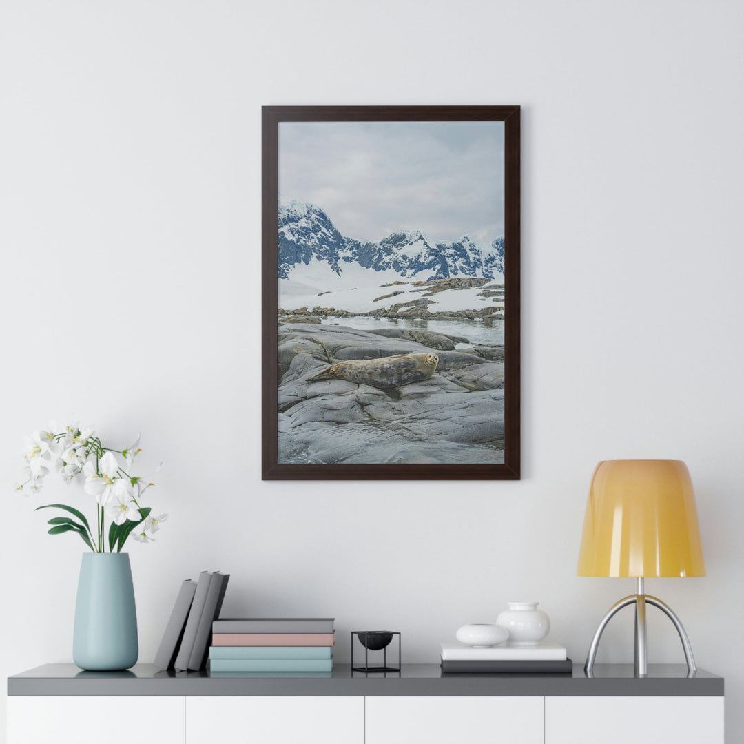 Weddell Relaxing - Framed Print - Visiting This World