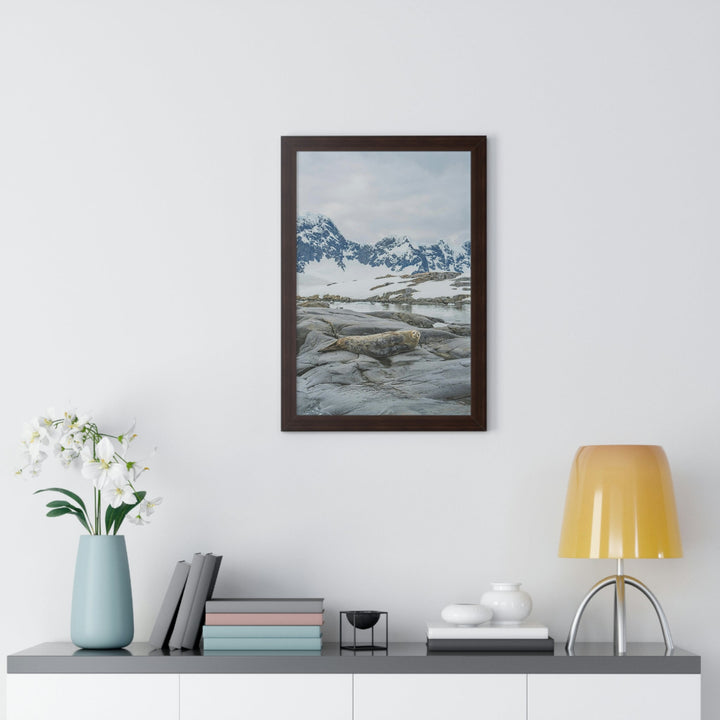 Weddell Relaxing - Framed Print - Visiting This World