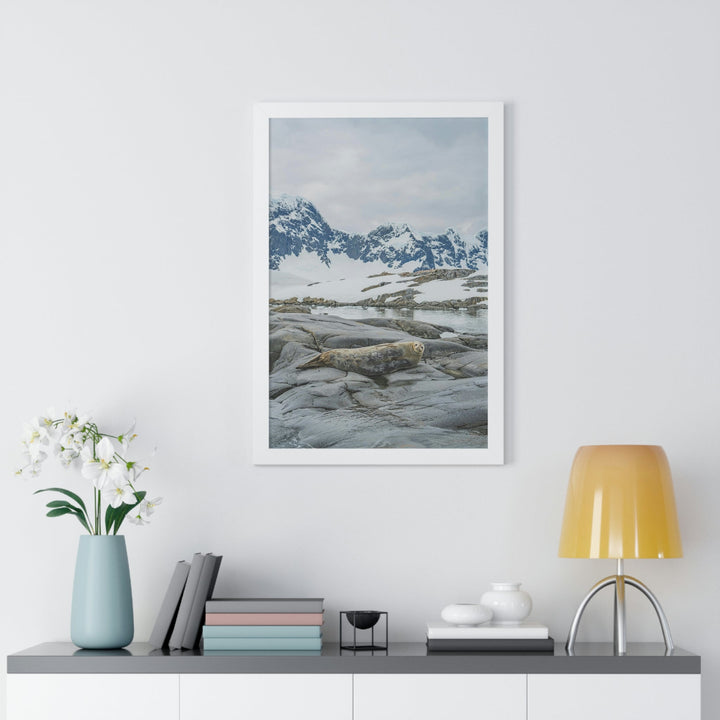 Weddell Relaxing - Framed Print - Visiting This World