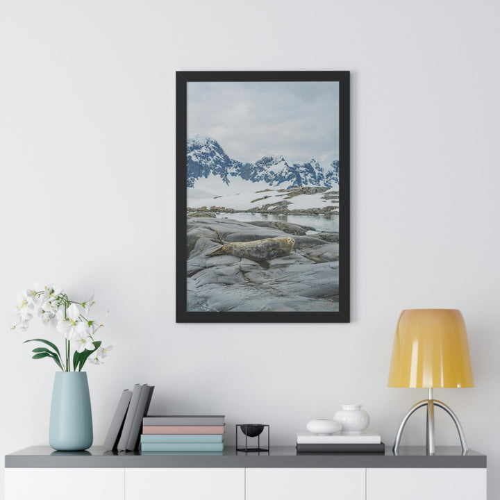 Weddell Relaxing - Framed Print - Visiting This World