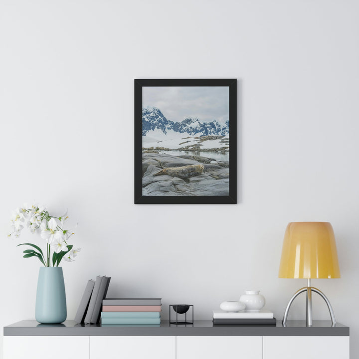 Weddell Relaxing - Framed Print - Visiting This World