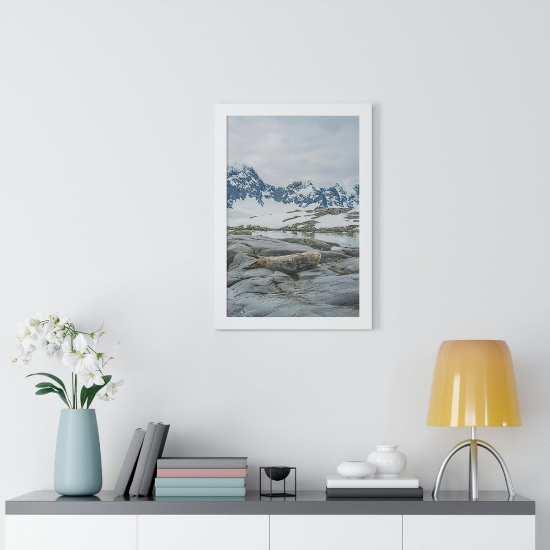 Weddell Relaxing - Framed Print - Visiting This World