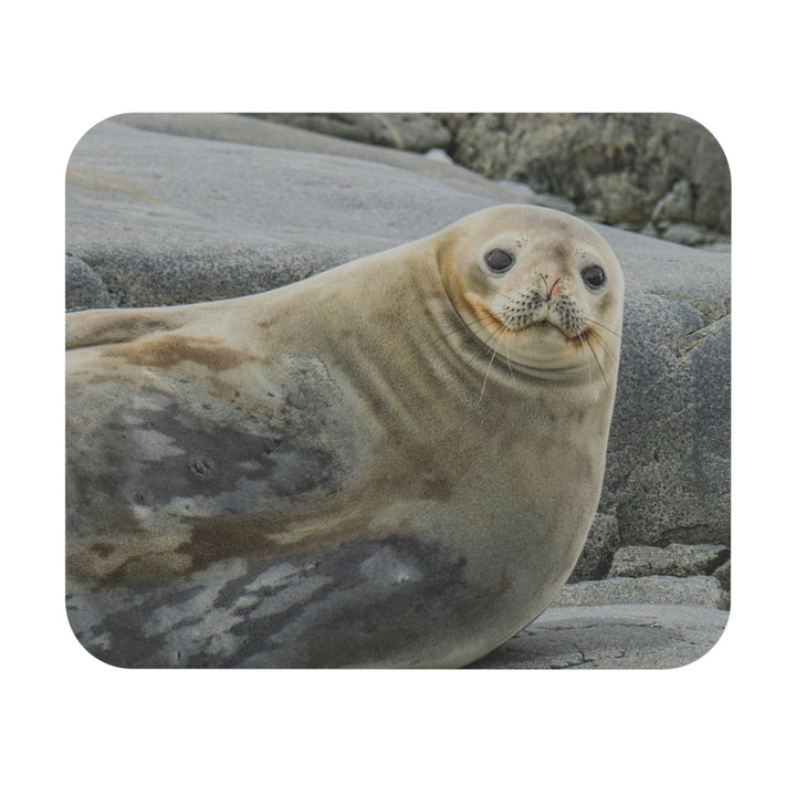 Weddell Smile - Mouse Pad (Rectangle) - Visiting This World