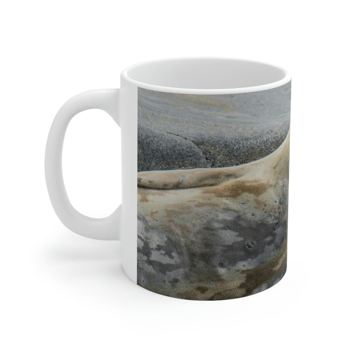 Weddell Smile - Mug 11oz - Visiting This World