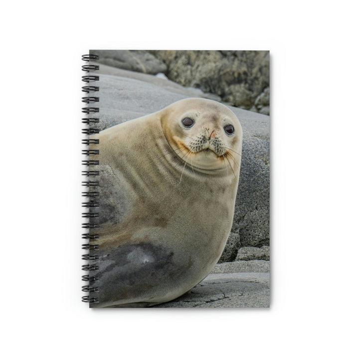 Weddell Smile - Spiral Ruled Line Notebook - Visiting This World