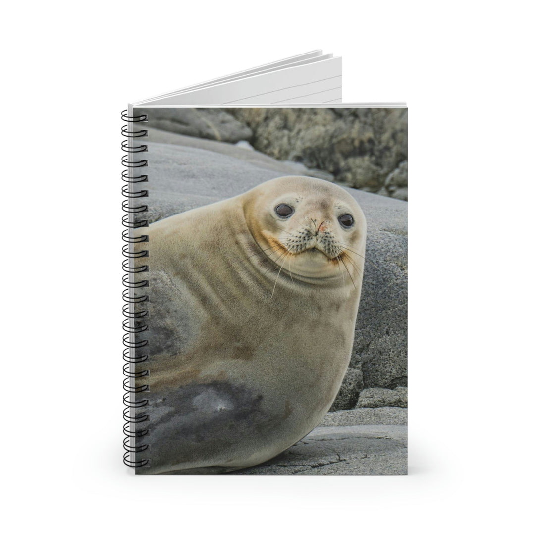 Weddell Smile - Spiral Ruled Line Notebook - Visiting This World