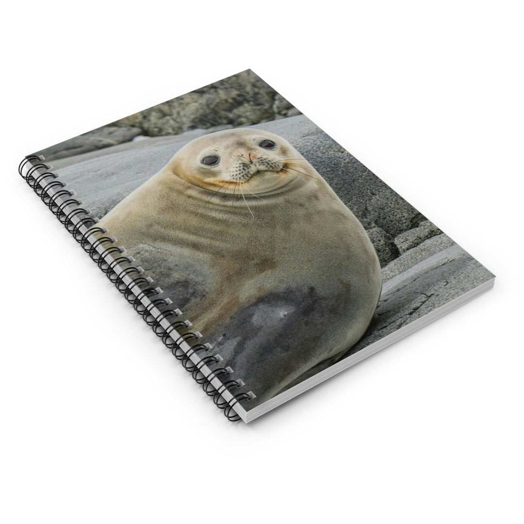 Weddell Smile - Spiral Ruled Line Notebook - Visiting This World