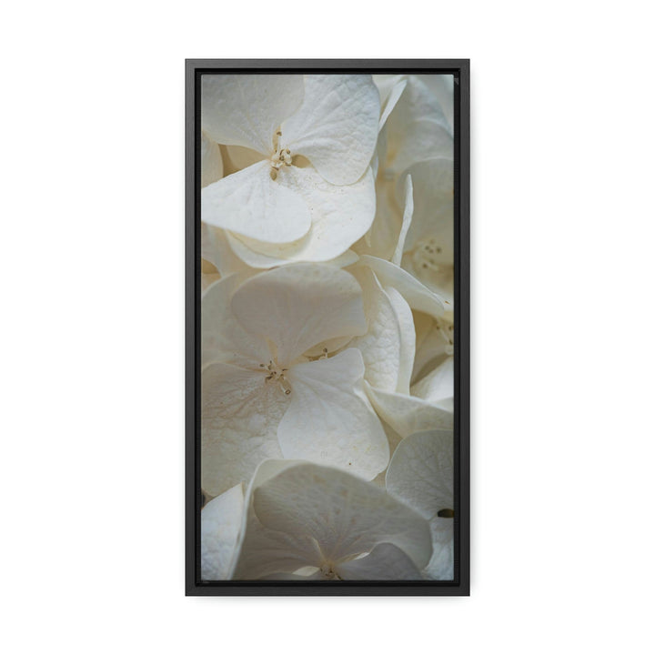 White Hydrangea Detail - Canvas with Frame - Visiting This World