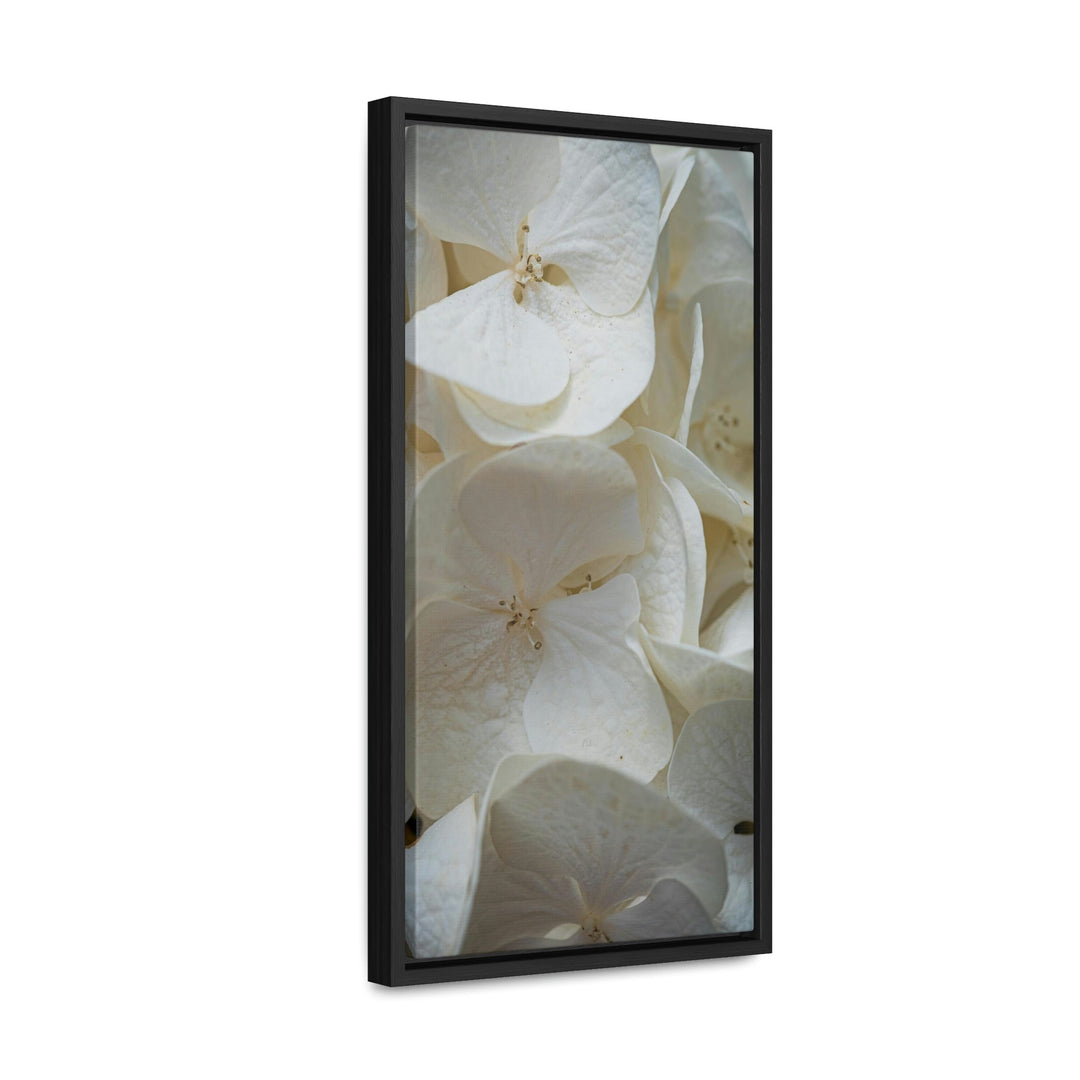 White Hydrangea Detail - Canvas with Frame - Visiting This World