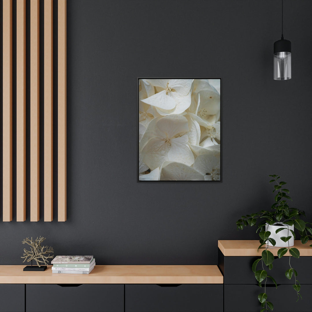 White Hydrangea Detail - Canvas with Frame - Visiting This World