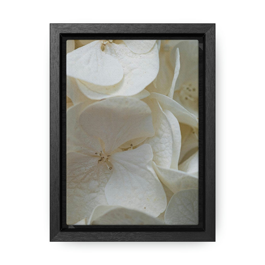 White Hydrangea Detail - Canvas with Frame - Visiting This World