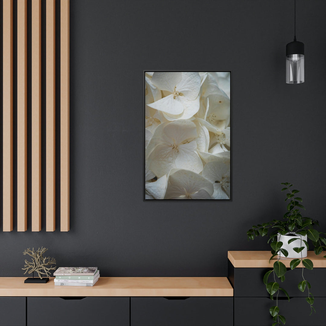 White Hydrangea Detail - Canvas with Frame - Visiting This World