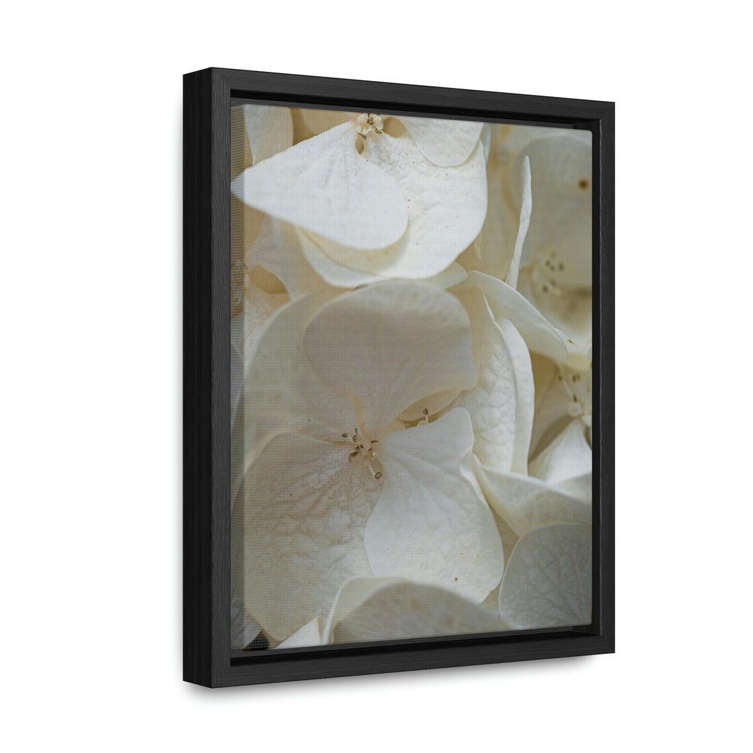 White Hydrangea Detail - Canvas with Frame - Visiting This World