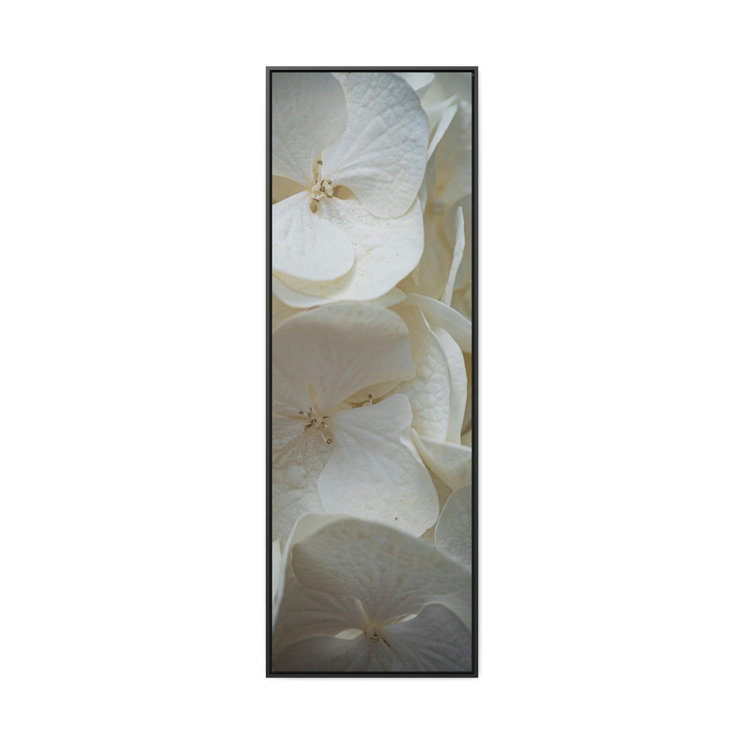 White Hydrangea Detail - Canvas with Frame - Visiting This World