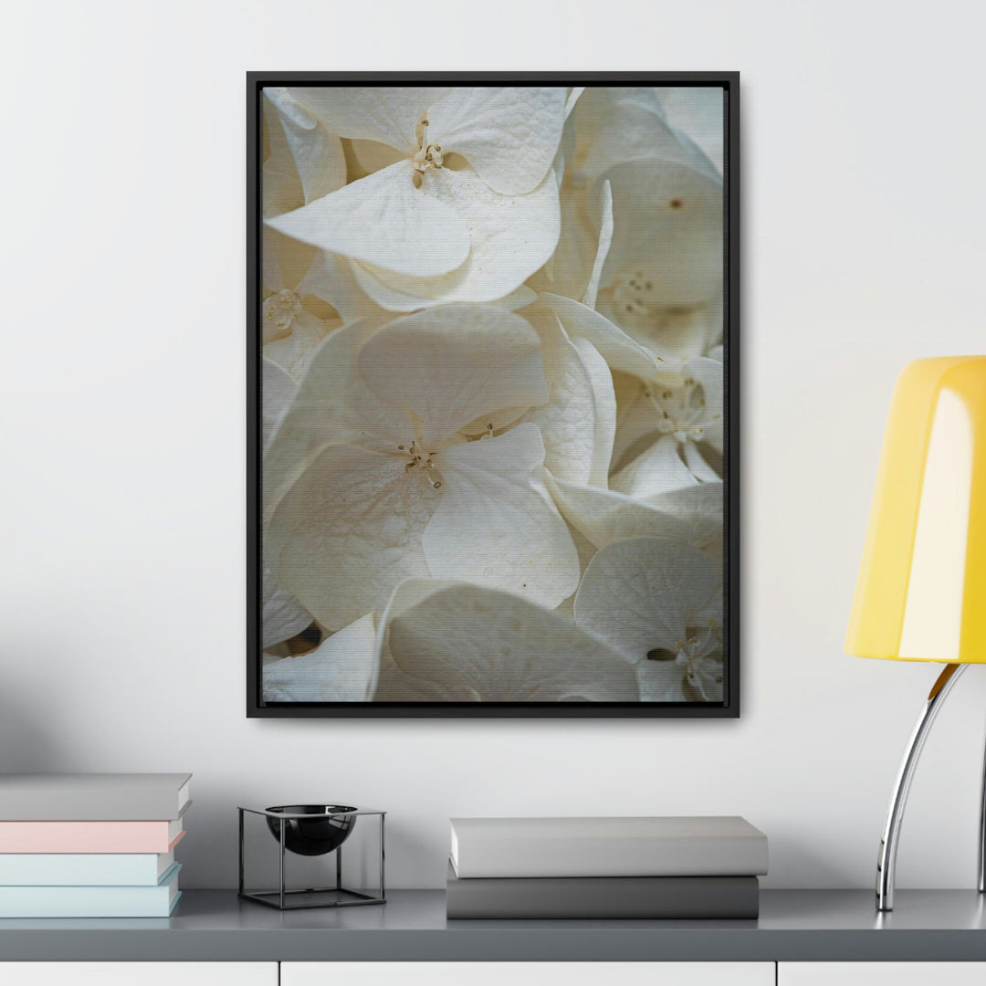 White Hydrangea Detail - Canvas with Frame - Visiting This World