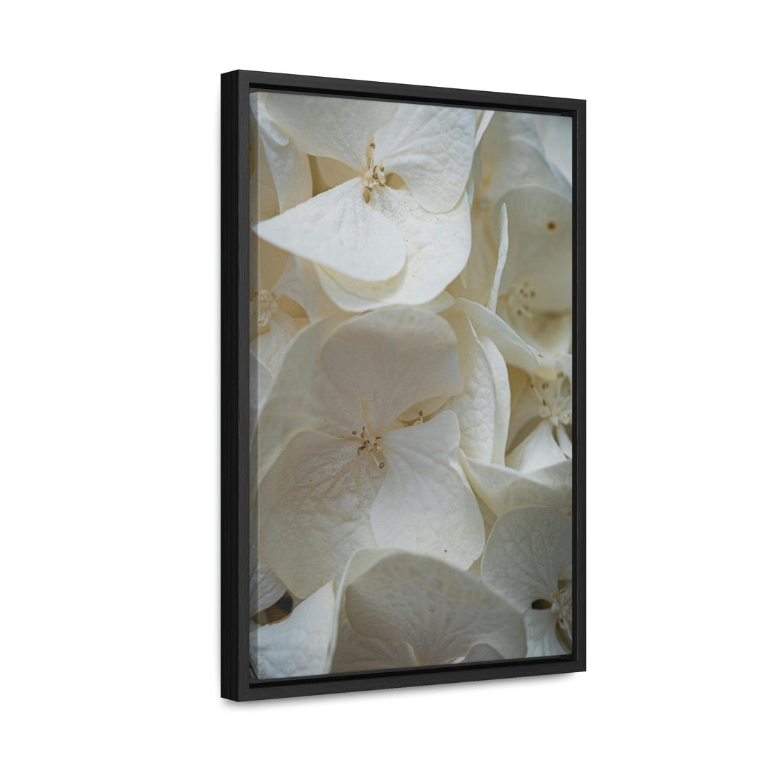 White Hydrangea Detail - Canvas with Frame - Visiting This World