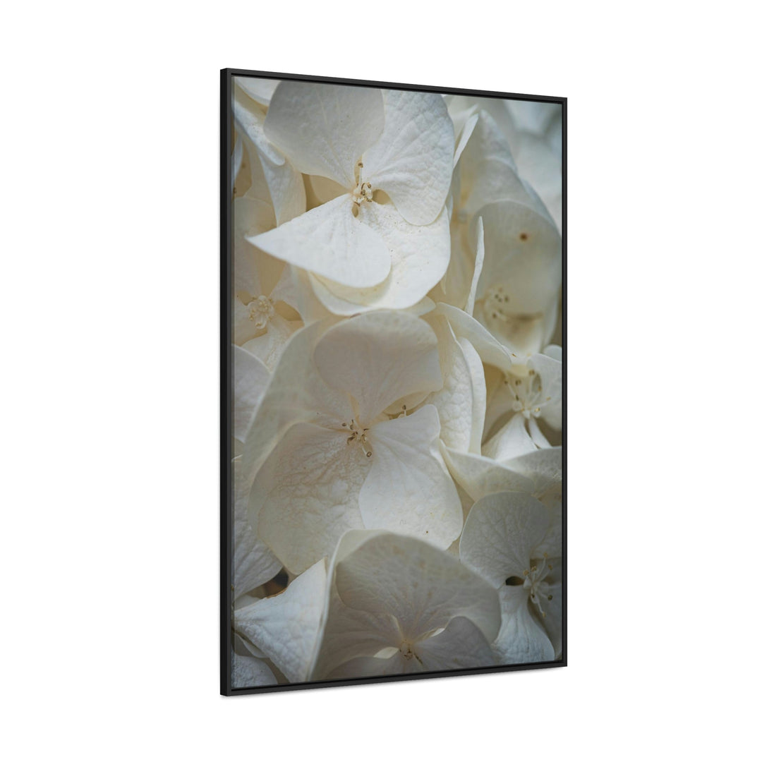 White Hydrangea Detail - Canvas with Frame - Visiting This World