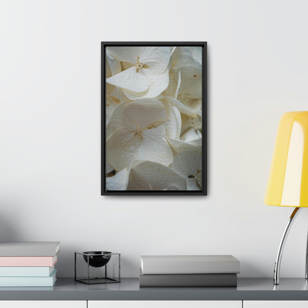 White Hydrangea Detail - Canvas with Frame - Visiting This World