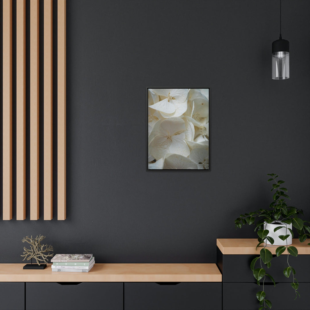 White Hydrangea Detail - Canvas with Frame - Visiting This World