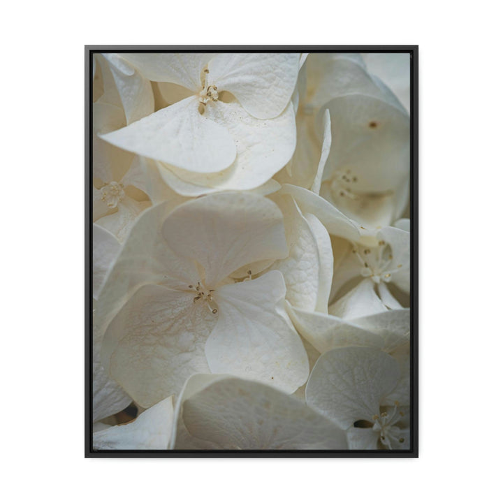 White Hydrangea Detail - Canvas with Frame - Visiting This World