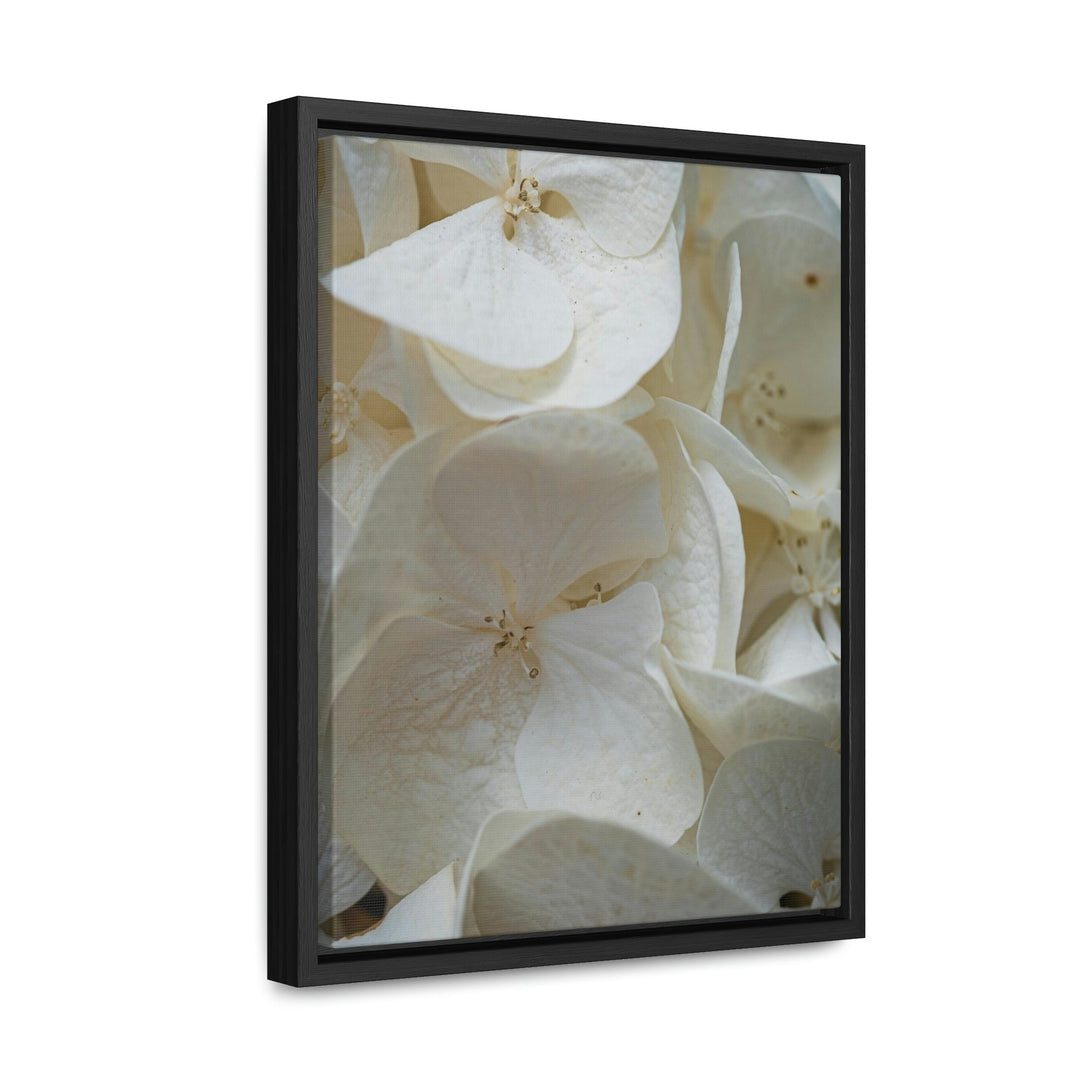 White Hydrangea Detail - Canvas with Frame - Visiting This World