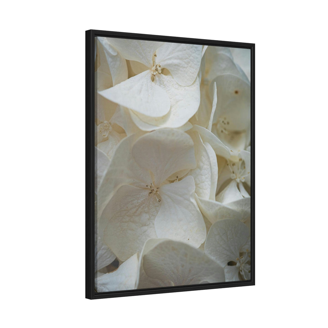 White Hydrangea Detail - Canvas with Frame - Visiting This World