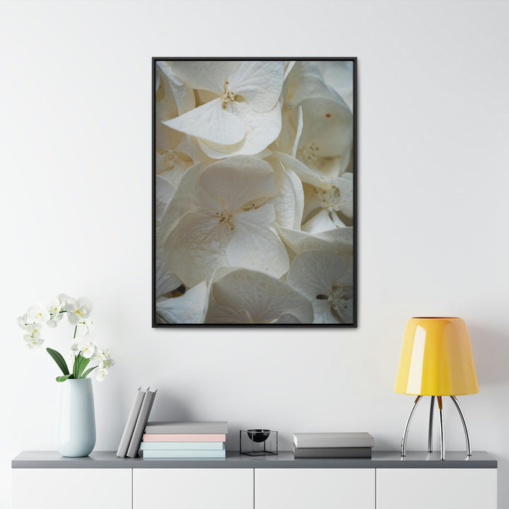 White Hydrangea Detail - Canvas with Frame - Visiting This World