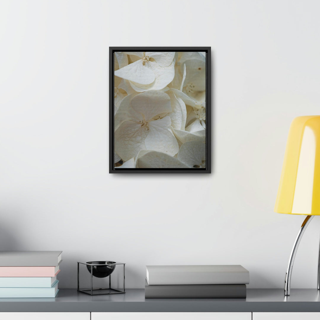 White Hydrangea Detail - Canvas with Frame - Visiting This World