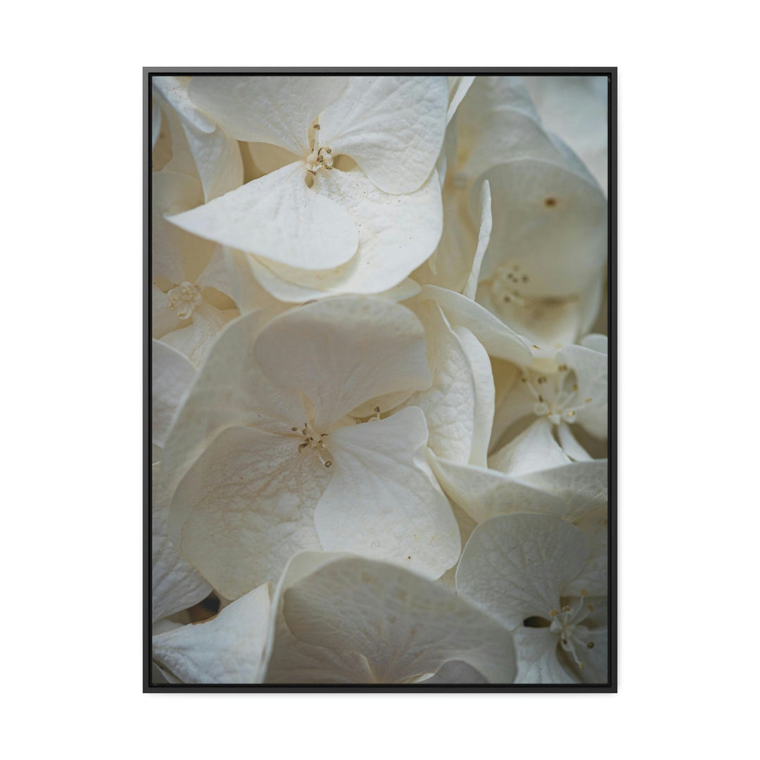 White Hydrangea Detail - Canvas with Frame - Visiting This World