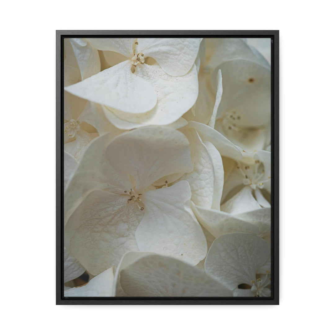 White Hydrangea Detail - Canvas with Frame - Visiting This World